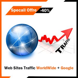 Web Sites Traffic WorldWide + Google
