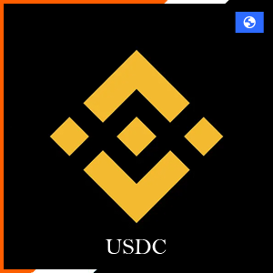 Binance Digital Code USDC