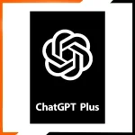 ChatGPT Plus 12 Months Account