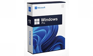 Windows 11 Pro